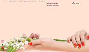 #1 Nails website