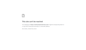 NAILCESSITY website