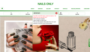 Nails Only website