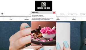 Organic Nail Bar website