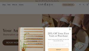 Sundays website