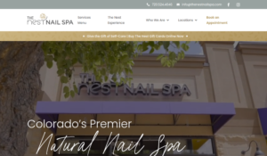 The Nest Nail Spa (DTC) website
