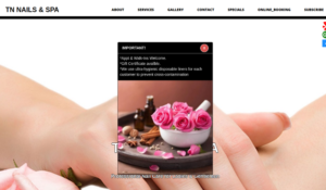TN Nails & Spa website