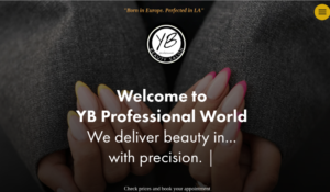YB Professional website
